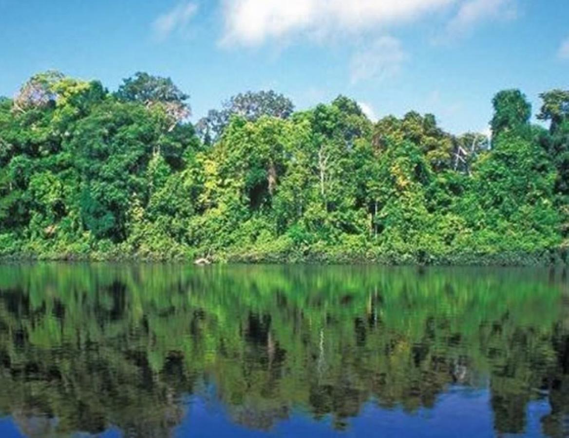 Hotel Vista Al Tortuguero Cariari  Kültér fotó